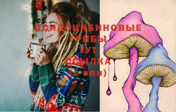 MDMA Premium VHQ Нязепетровск
