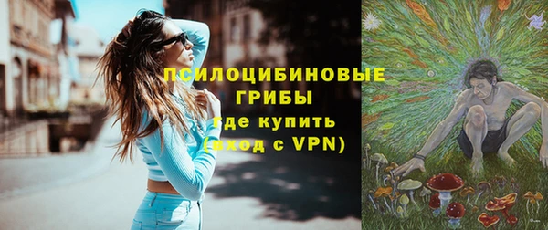прущая мука Армянск